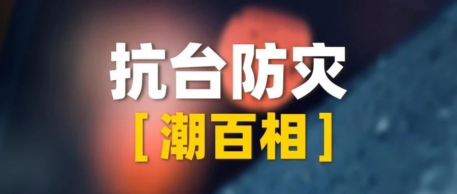 新闻 | 潮百相积极动员志愿者参与抗台防灾志愿服务