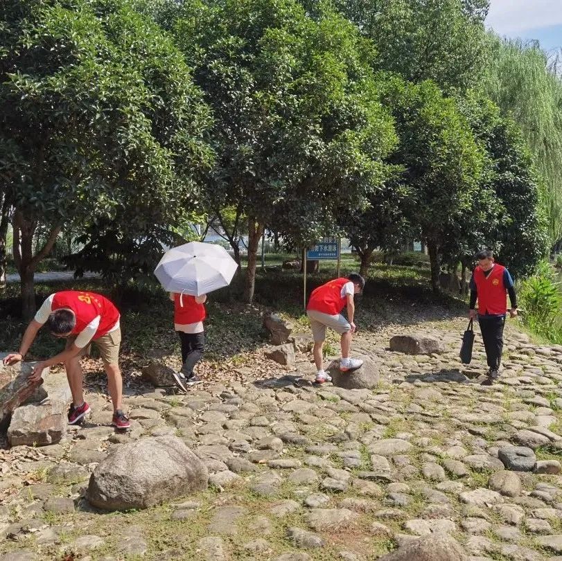 新闻 | 潮百相积极组织志愿者参与平安防汛巡查
