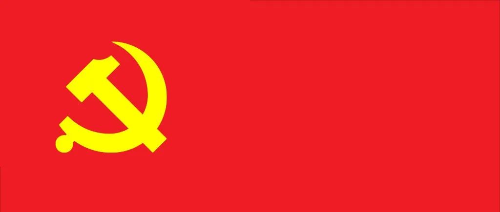 党建 | 中共海宁市潮百相公益发展协会支部正式成立