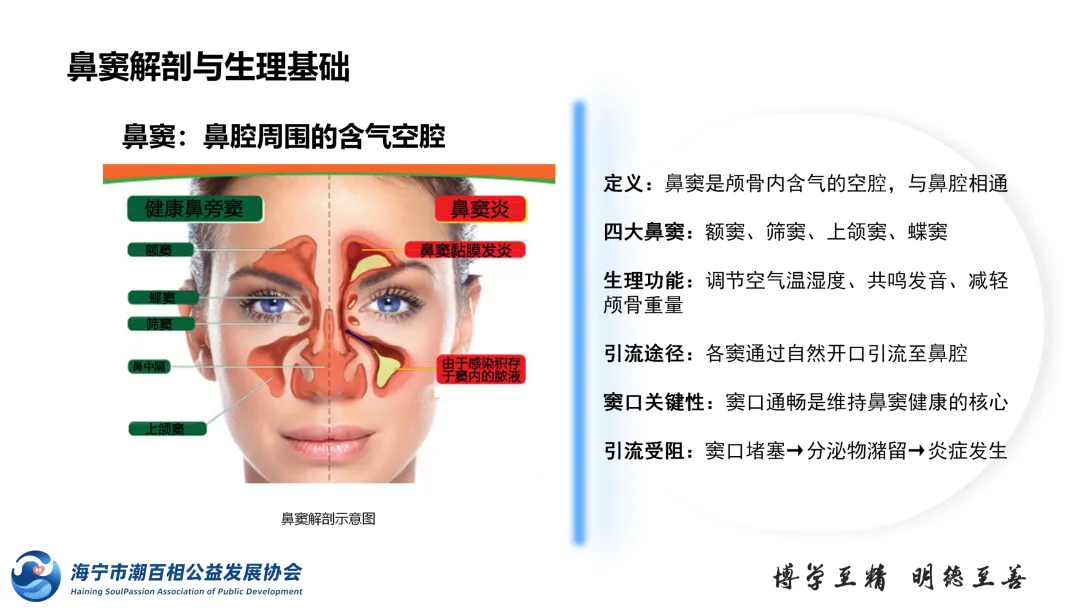 活动 | 鼻塞流涕别硬扛！潮百相联合南医大学子，带来权威科普干货